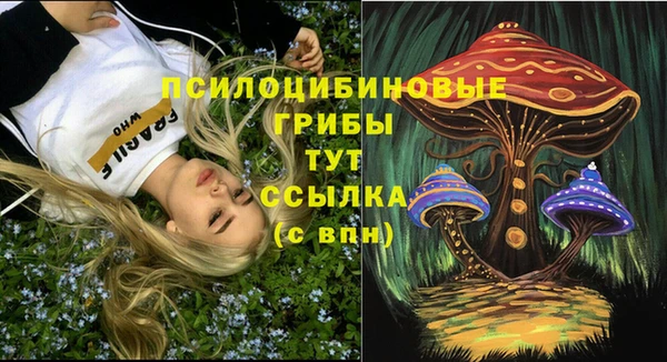 кокс Баксан