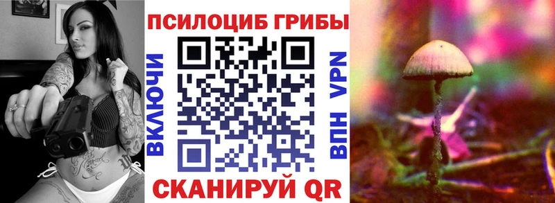 купить наркотики сайты  Олёкминск  Галлюциногенные грибы прущие грибы 